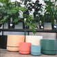 Mr Kitly Self-Watering Plant Pot varieties