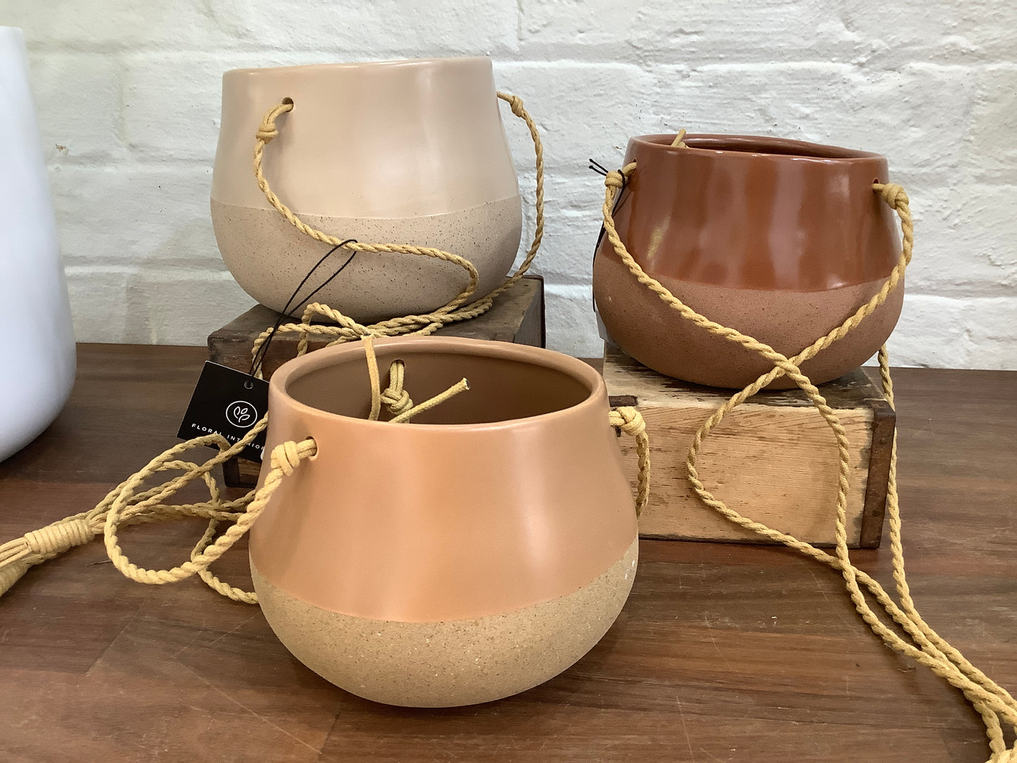 Losetta Ceramic Hanging Pot Varieties