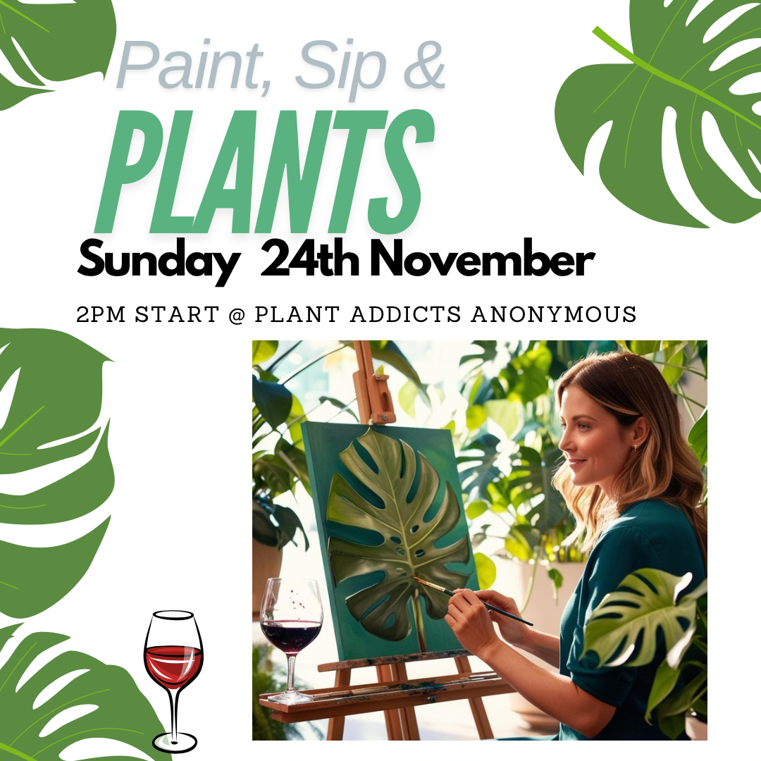 Paint, Sip & Plants workshop - Sunday 24th November